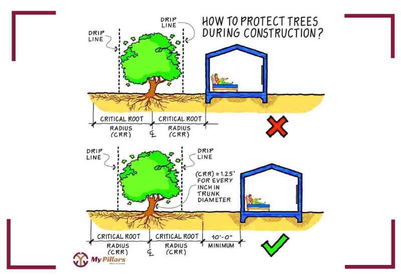 How to Protect Trees during Construction? | Construction Damage